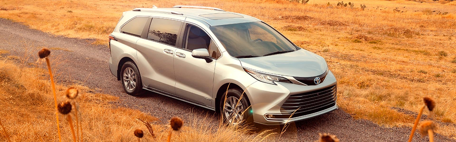 Toyota Tapachula in Tapachula Chiapas